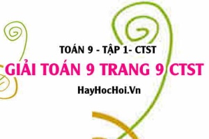 Giải Toán 9 trang 9 tập 1 Chân trời sáng tạo SGK